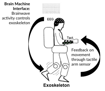 EEG brain training to control bionic legs V3