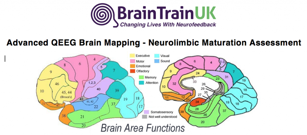 Brain Map function. Брейн карта. QEEG Brain Map. Brain functions. Brain карта